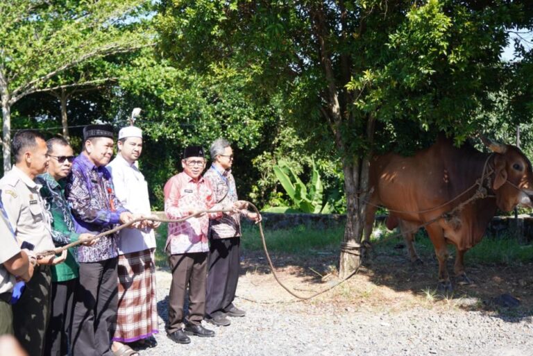 Sapi Hampir Satu Ton dari Prabowo untuk Kabupaten Banjar