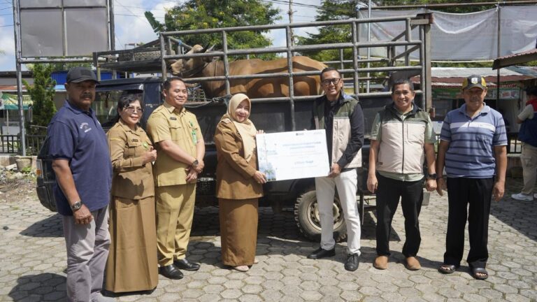 Bandara Syamsudin Noor Bagikan 3 Ekor Sapi Kurban