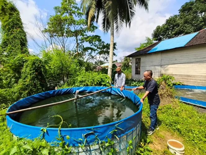Panen Ikan di Kabupaten Banjar Paruh Pertama 2026 Panen Ikan di Kabupaten Banjar Paruh Pertama 2026