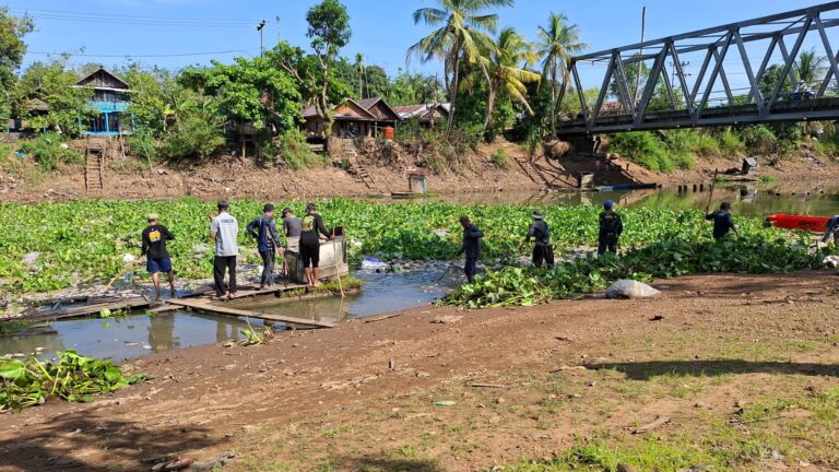 Rugi Rp1,3 Miliar, Bangkai 50 Ton Ikan Budidaya Cemari Sungai