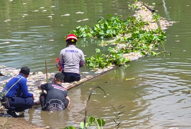 Pemkab Banjar Bersihkan Bangkai Ikan di Sungai Arfat Pemkab Banjar Bersihkan Bangkai Ikan di Sungai Arfat