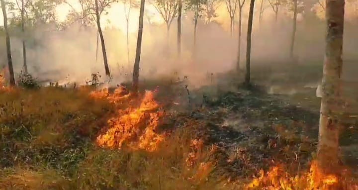 Karhutla Capai Seribu Hektare Lebih, Status Kabupaten Banjar Masih Siaga Karhutla Capai Seribu Hektare Lebih, Status Kabupaten Banjar Masih Siaga