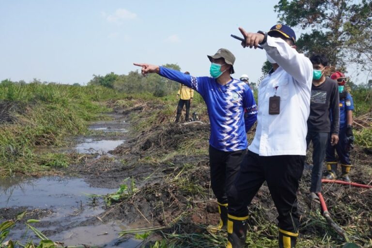 Bupati Banjar Tinjau Penanganan Dampak Karhutla Sungai Sipai Bupati Banjar Tinjau Penanganan Dampak Karhutla Sungai Sipai