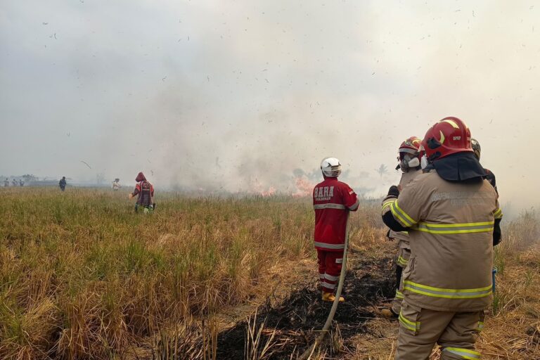Karhutla Hanguskan 15 Hektare di Gambut, Api Ancam Permukiman Warga Karhutla Hanguskan 15 Hektare di Gambut, Api Ancam Permukiman Warga